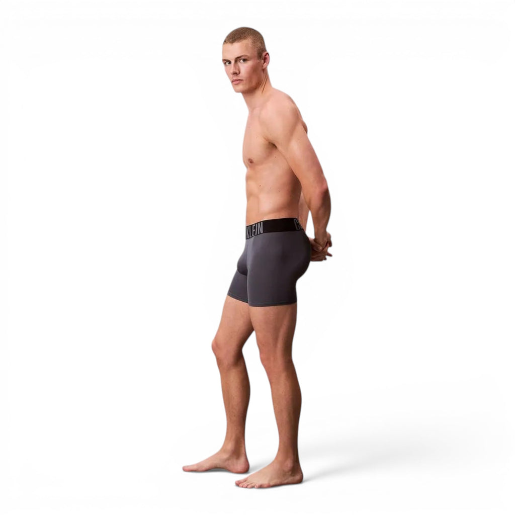 Set De 3 Boxer Briefs Calvin Klein Multicolor Signature Waistband